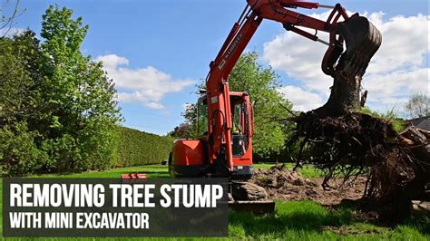 mini excavator tree removal|mini tree stump removal.